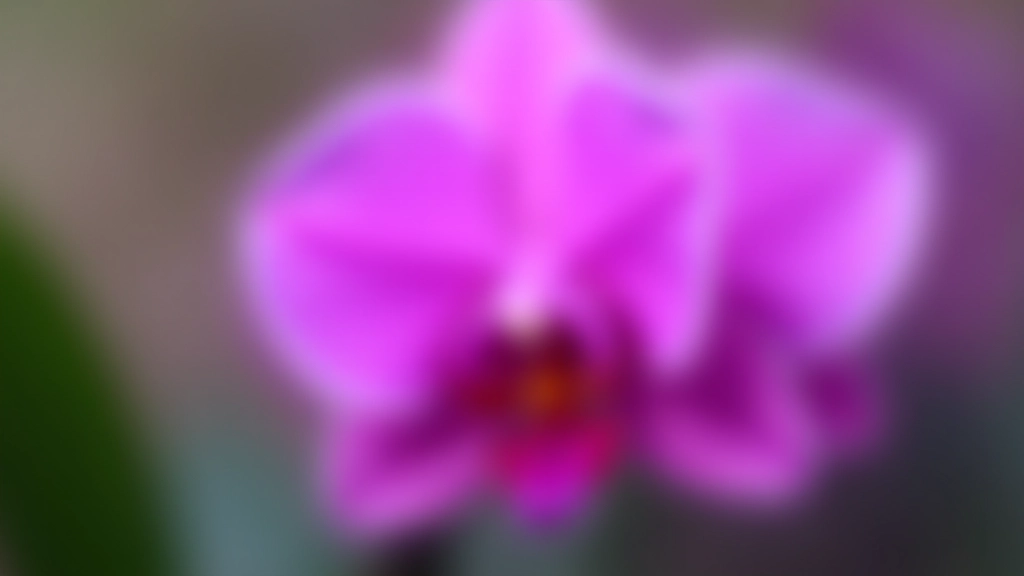 Primer plano de orquídea púrpura con pétalos delicados en el orquideario